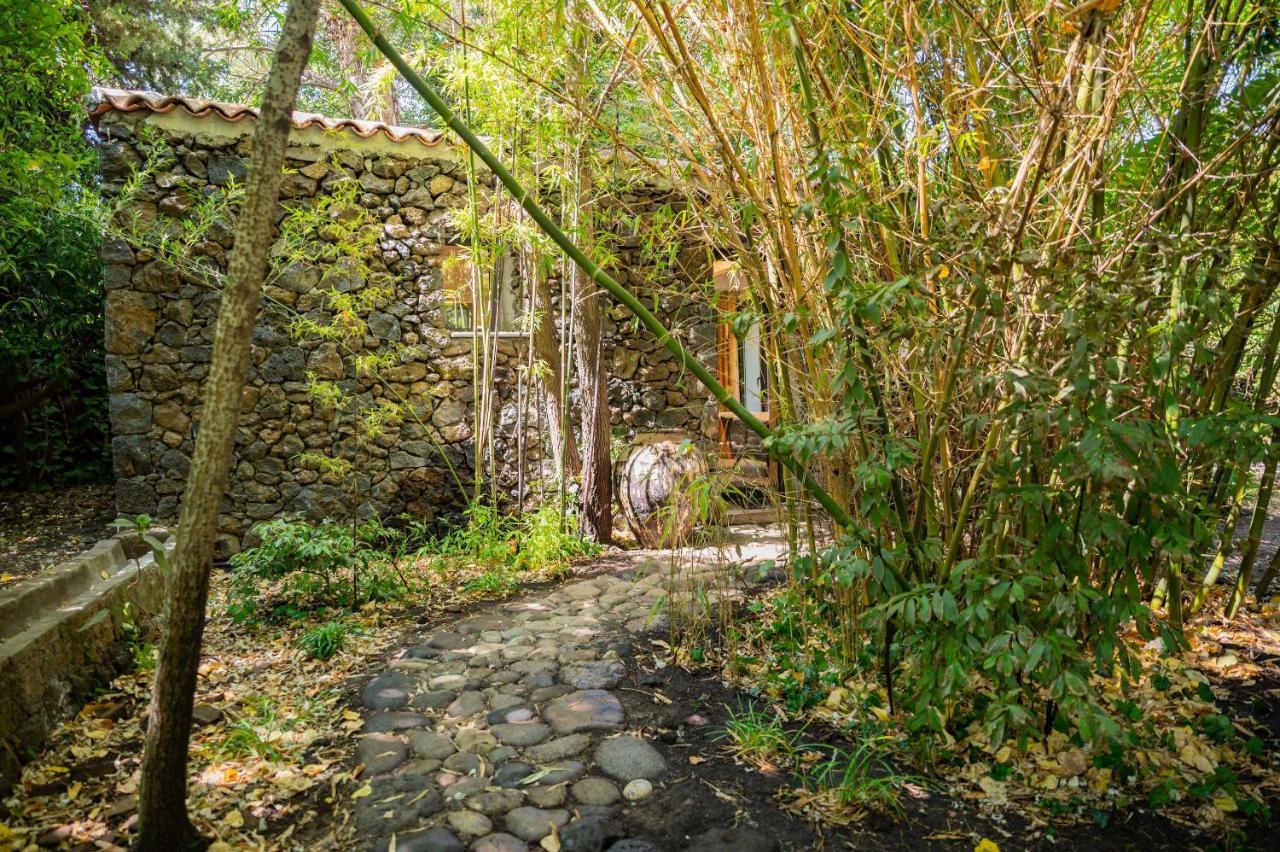 Apartamento Etna Botanic Garden Mascalucia Exterior foto