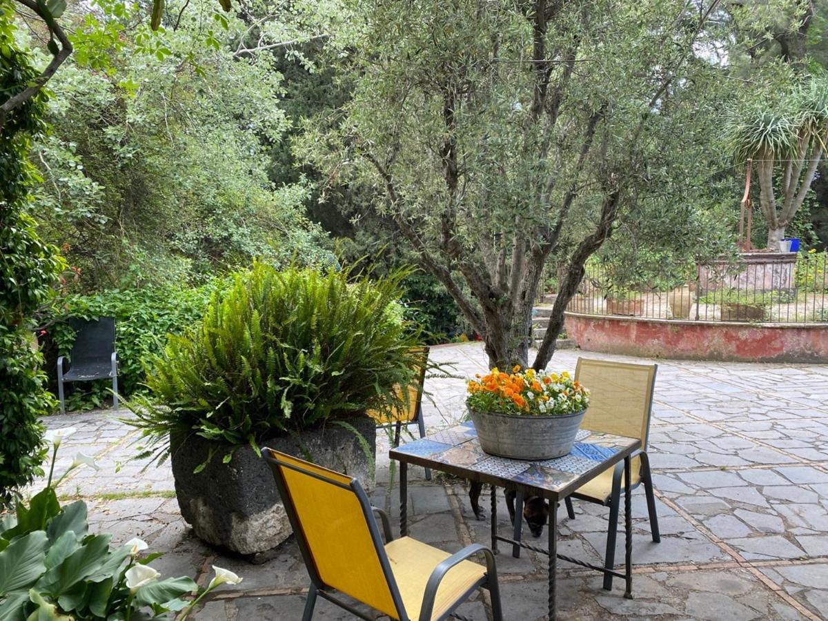 Apartamento Etna Botanic Garden Mascalucia Exterior foto