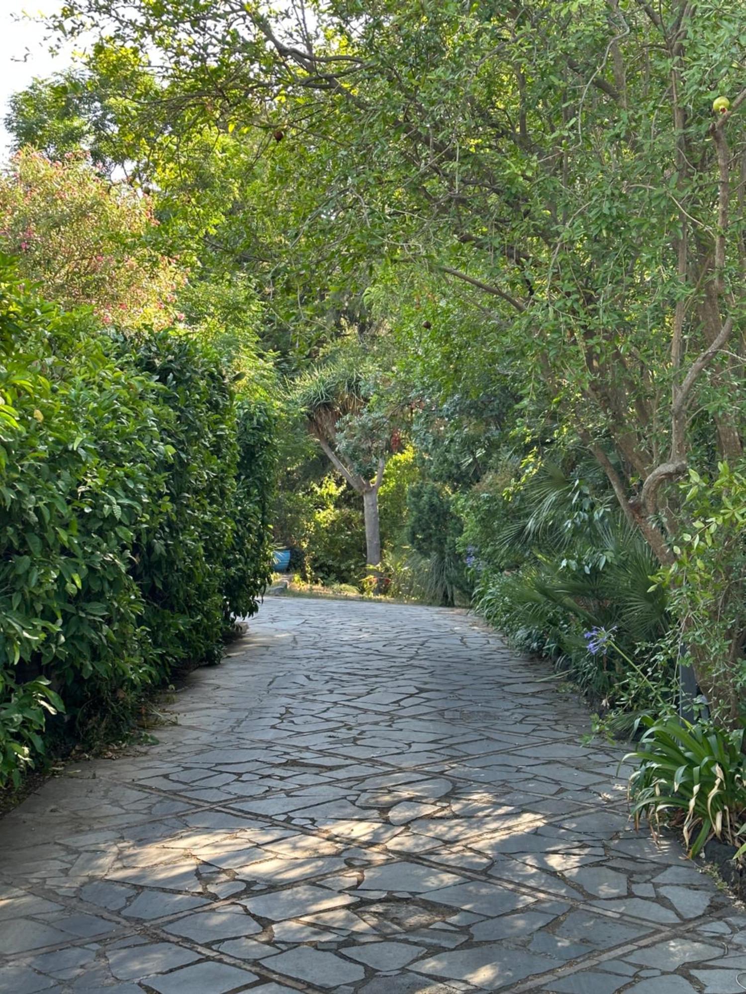 Apartamento Etna Botanic Garden Mascalucia Exterior foto