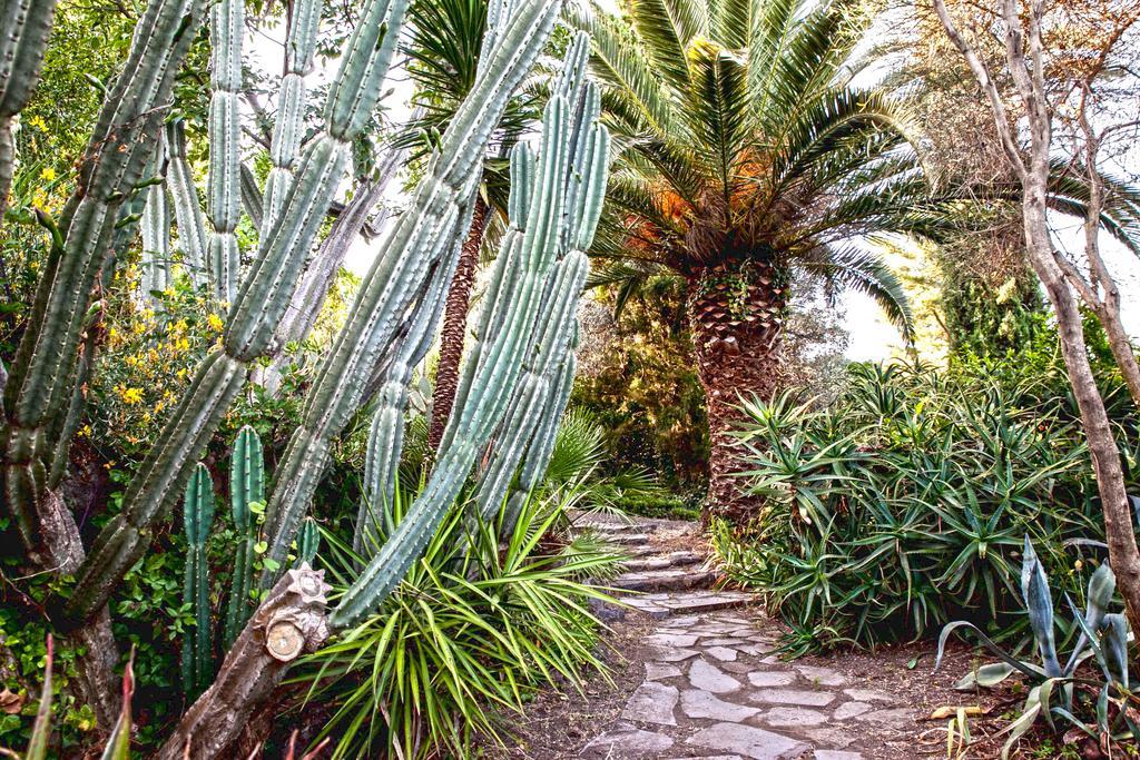 Apartamento Etna Botanic Garden Mascalucia Exterior foto